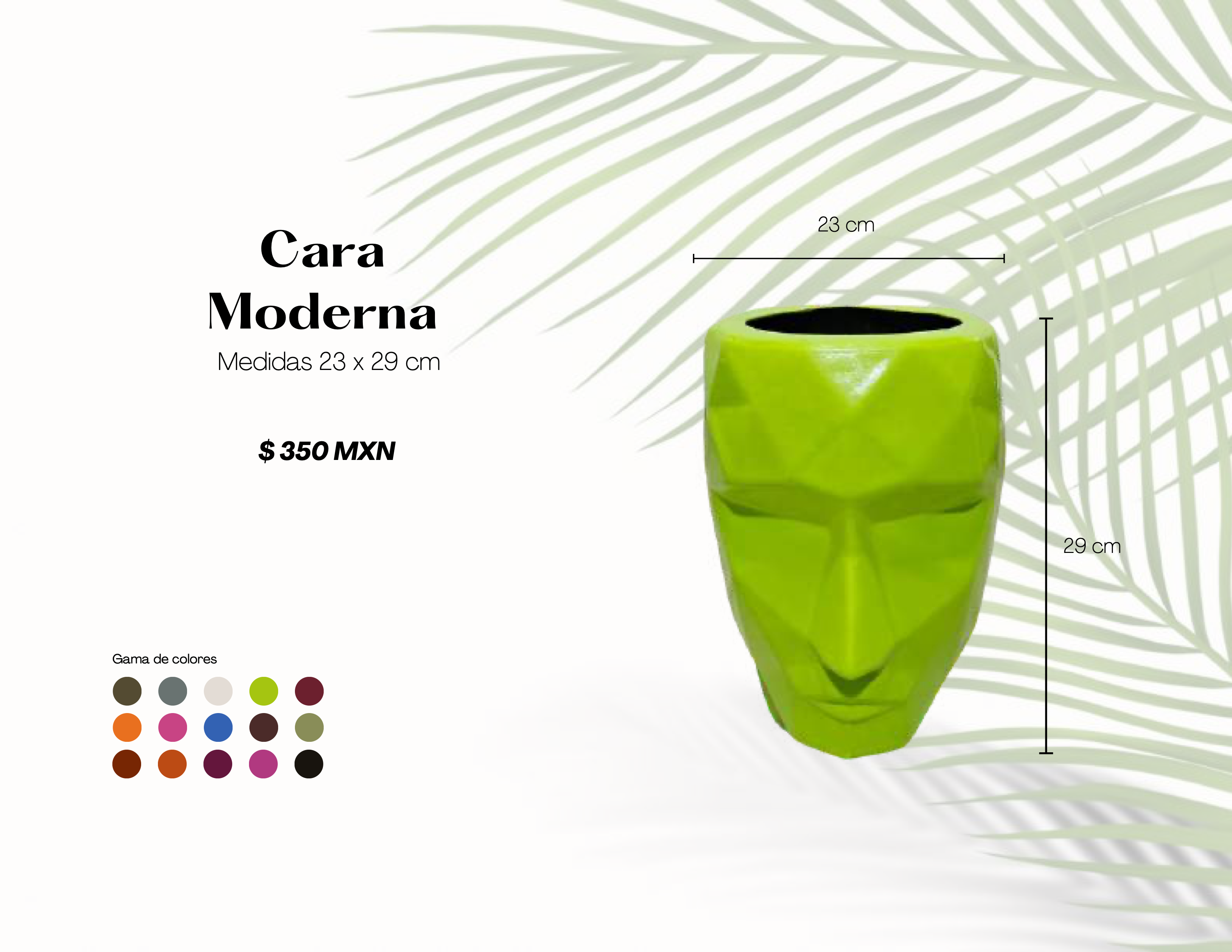 Cara Moderna