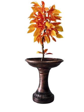 Fuente Maceta