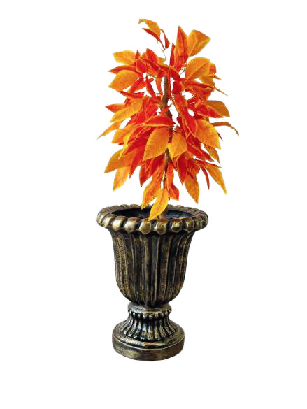 Copa Romana