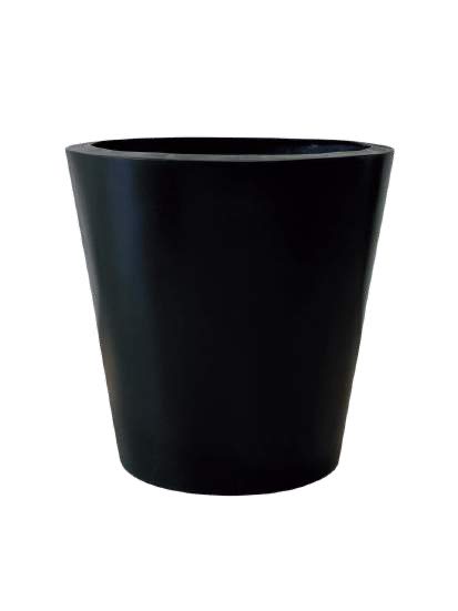 Cono