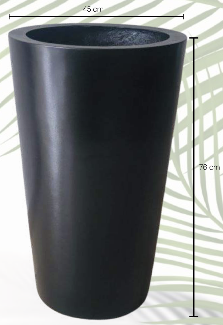 Cono Liso