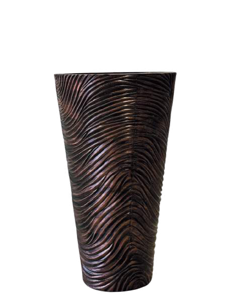 Cono Aureolado